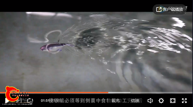 QQ图片20210917221331.png