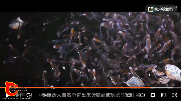 QQ图片20210917221336.png