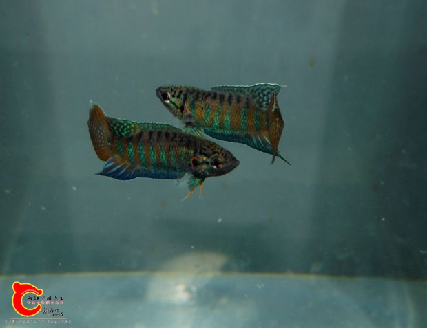 DSCI6314.JPG