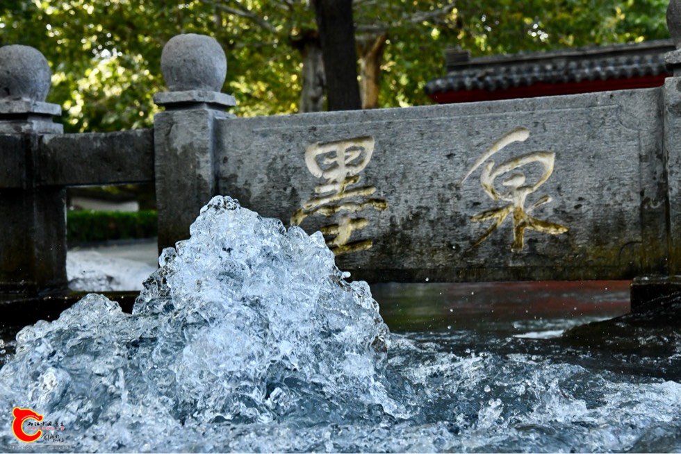 145337qfoq2qxuqe6qp6gf.jpg