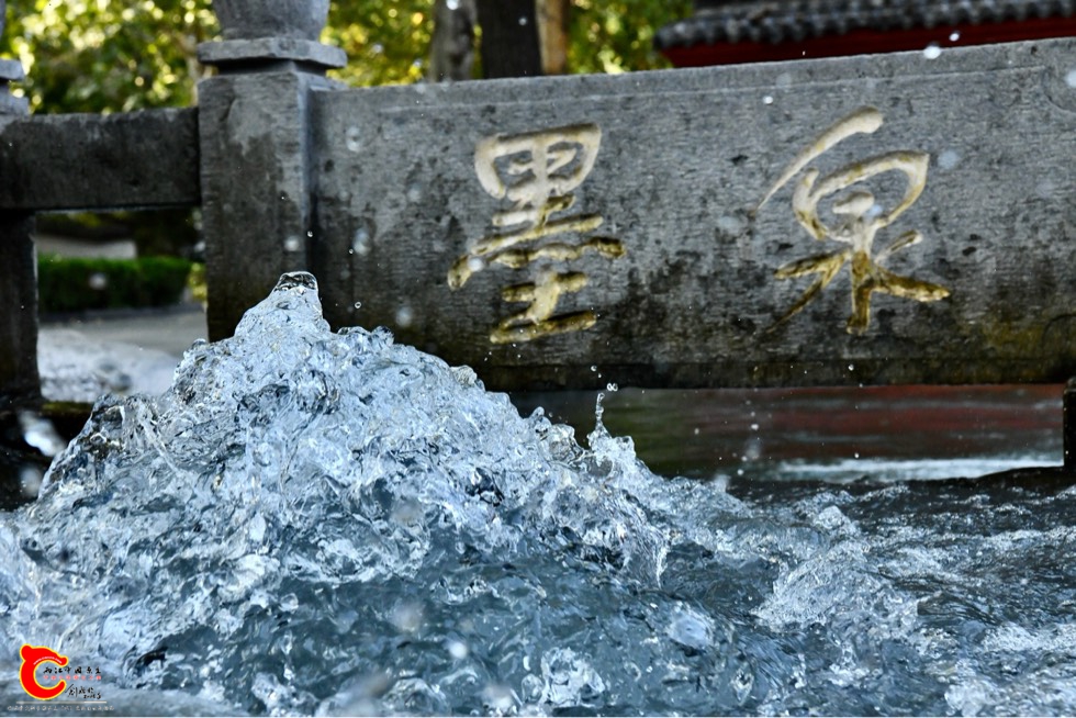 145357ssqqmdaw7hhmv0wh.jpg