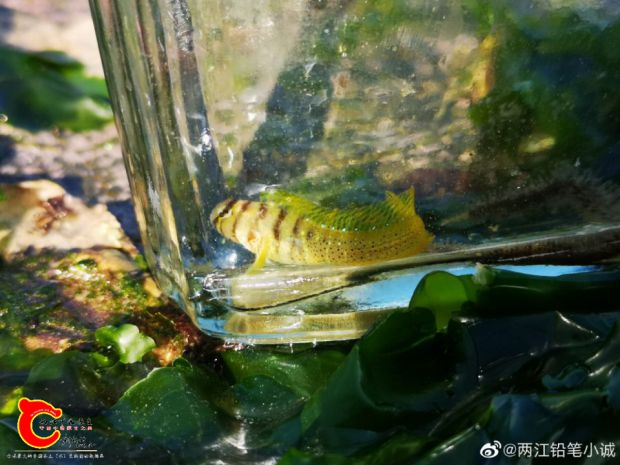 QQ图片20211007213303.jpg