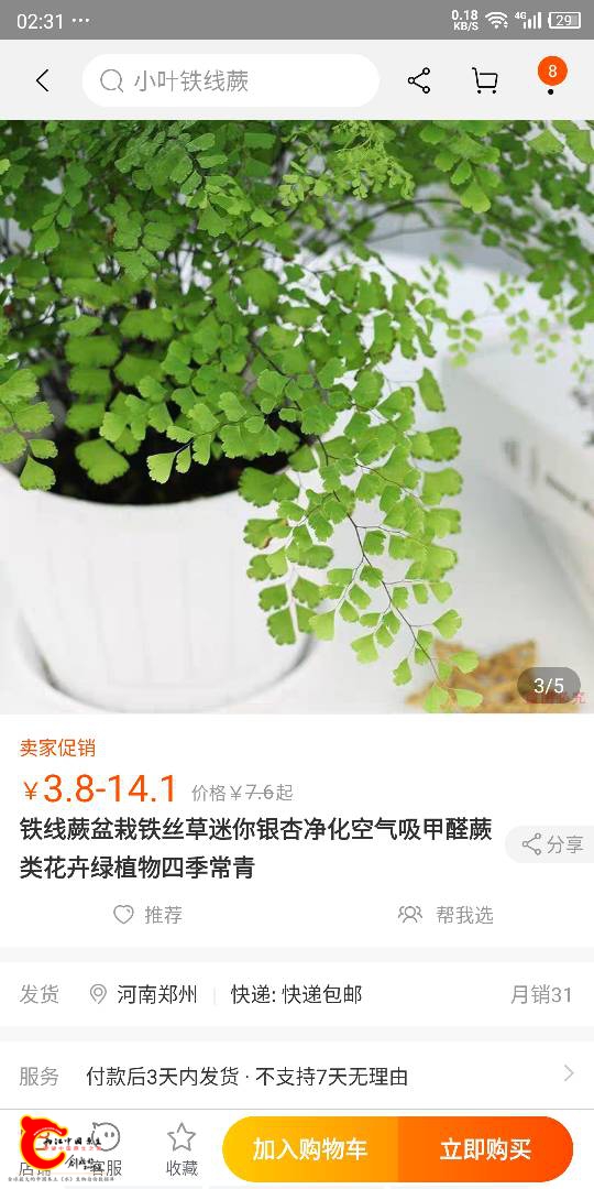 023208t8zd8d1ddlz5512n.png
