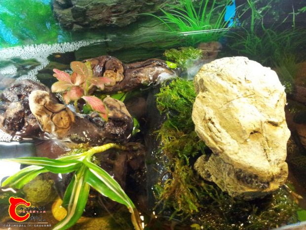 aquarium-aquaterra__2d.jpeg