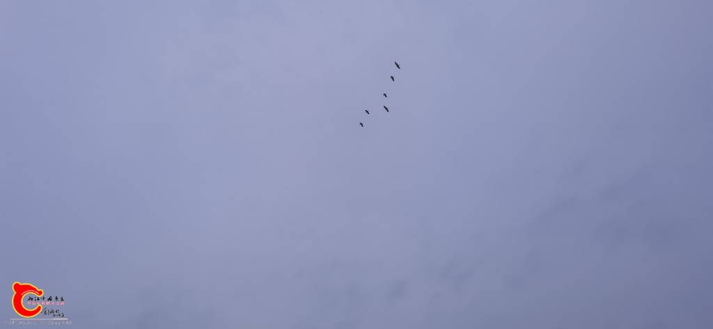 212752hpkph8k66pkk9ak9.jpg