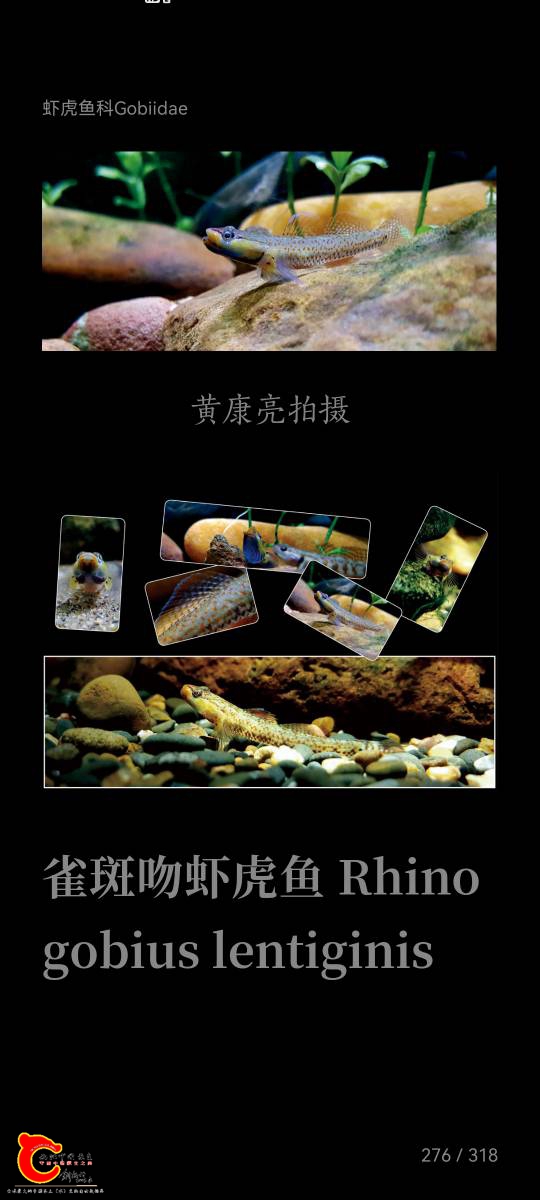 000738ok91j75j2dypwdbn.jpg