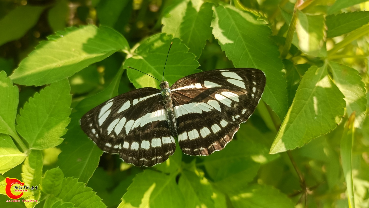 IMG20230820101516.jpg