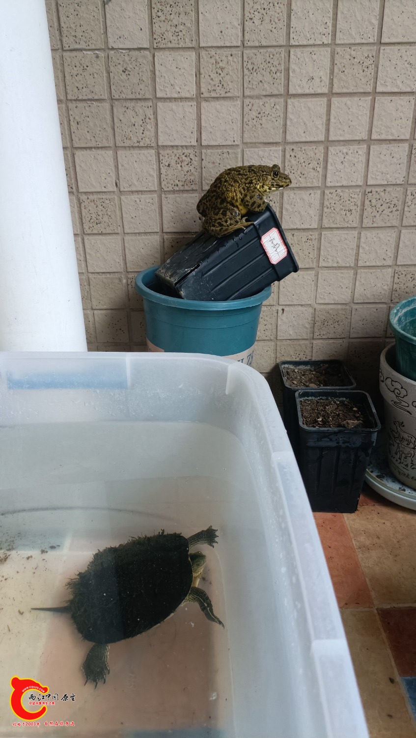 IMG20230910103201.jpg