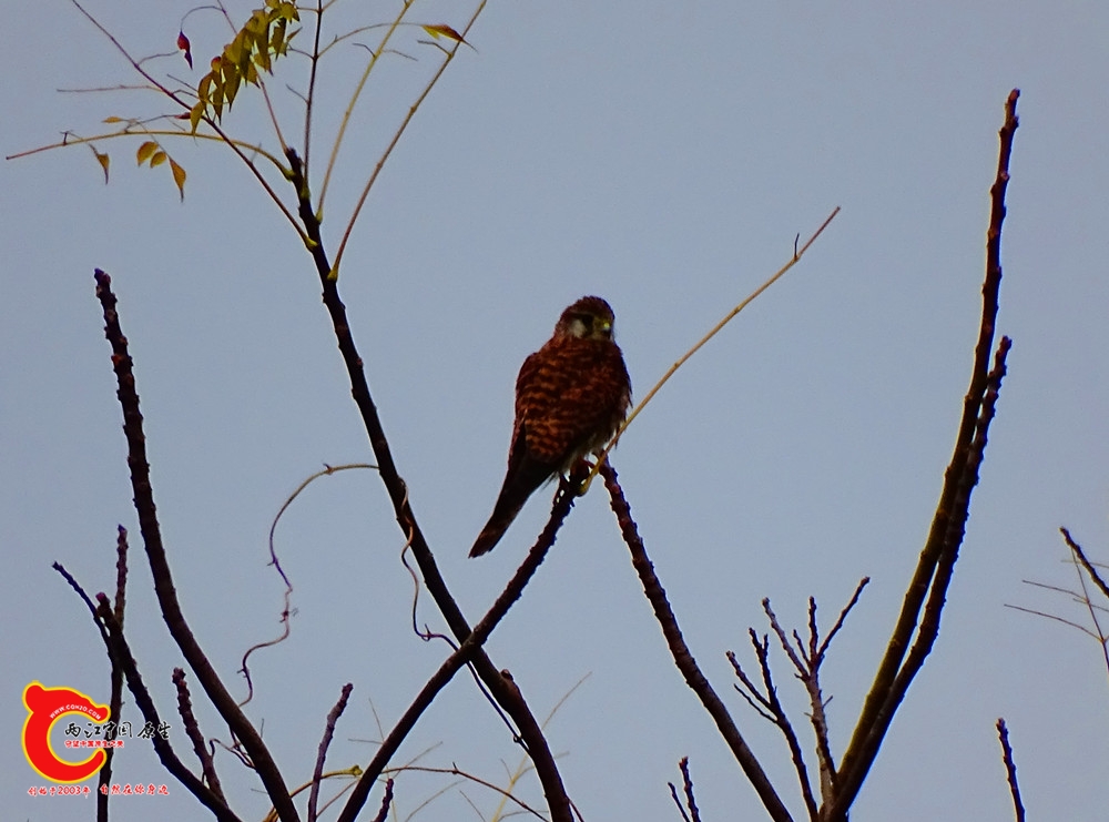 DSC00201.JPG