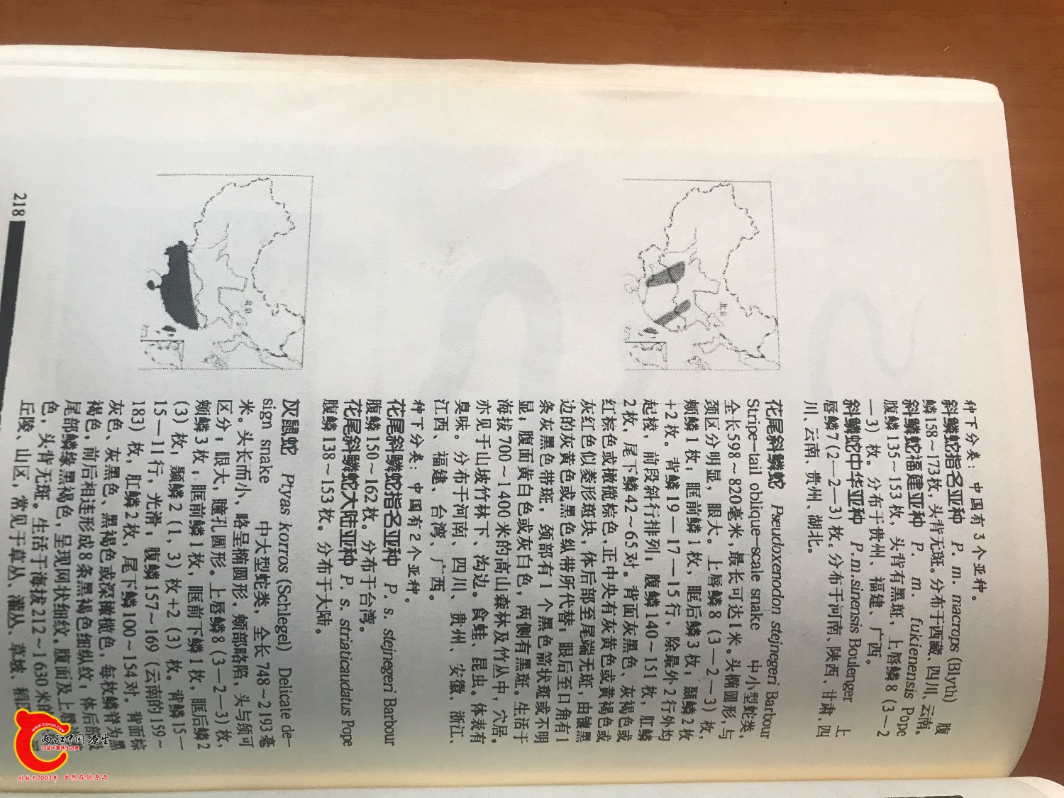 57BF55B2-78F4-408A-B73F-E3235EF0A373.jpeg
