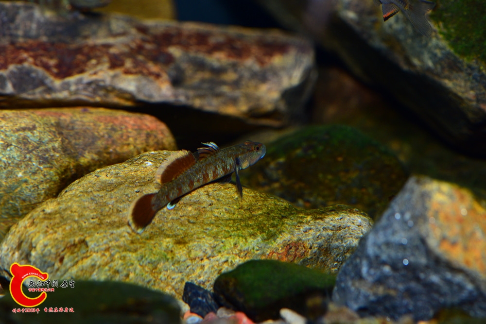 DSC_1120.JPG