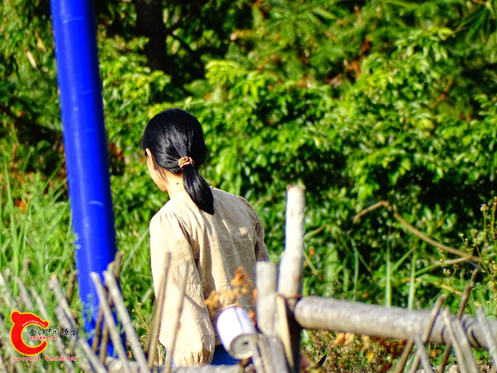 DSC00445.JPG