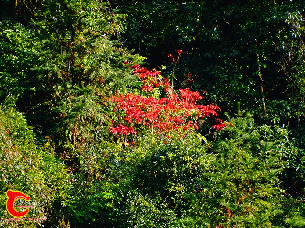 DSC01081.JPG