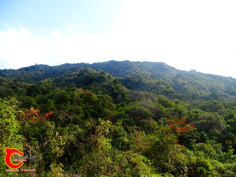 DSC01085.JPG