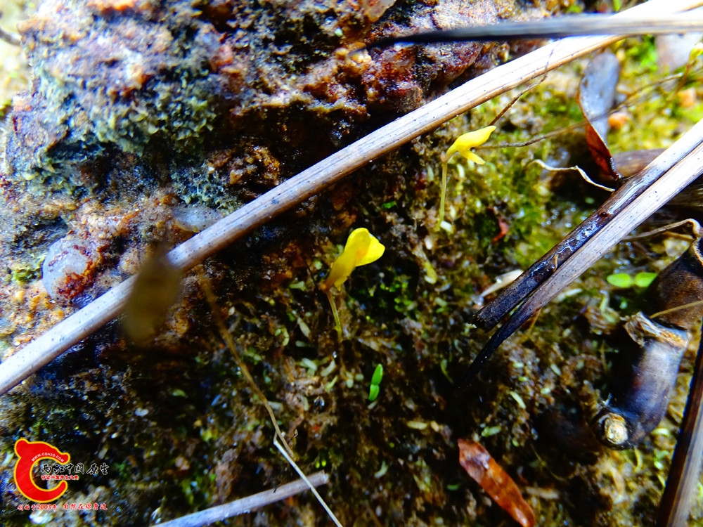DSC01091.JPG