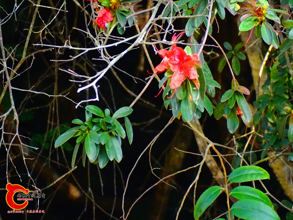 DSC01102.JPG