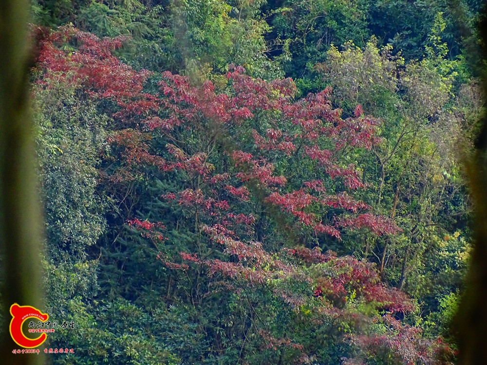 DSC01105.JPG