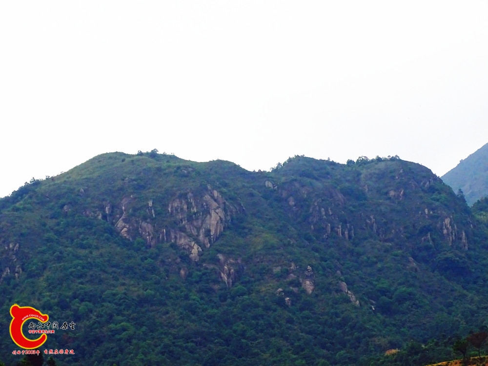 DSC00026.JPG