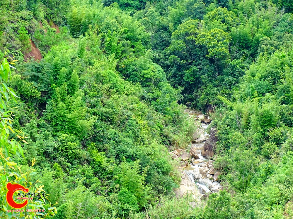 DSC00060.JPG
