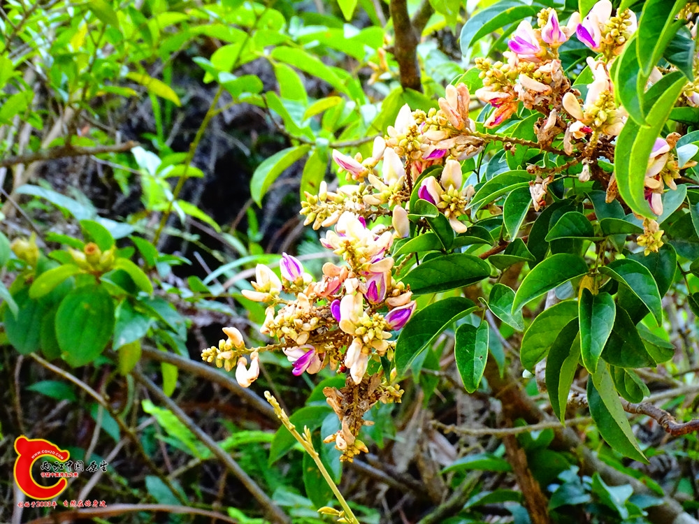 DSC00023.JPG