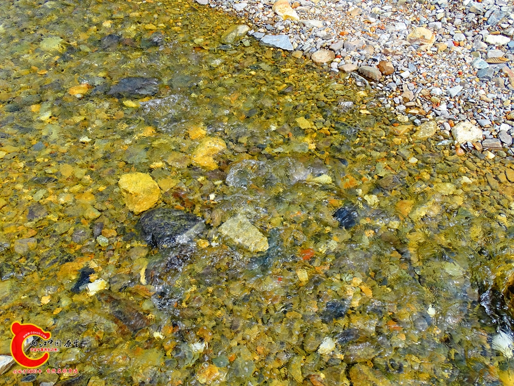 DSC00066.JPG