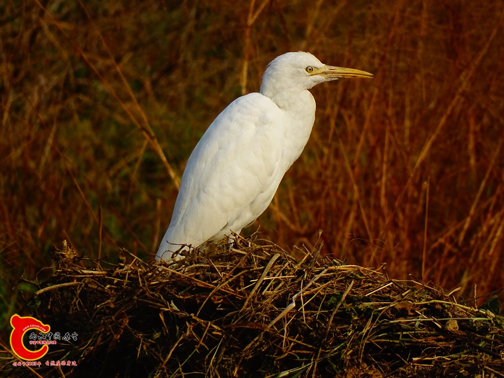 DSC01109.JPG