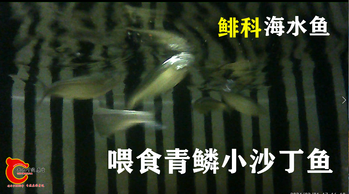 QQ截图20240202144202.png