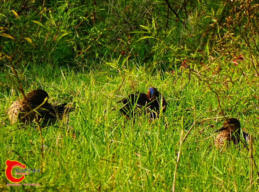 DSC01056.JPG