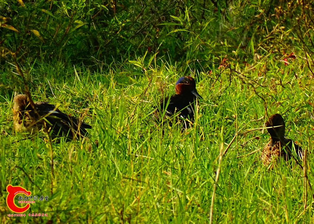DSC01057.JPG