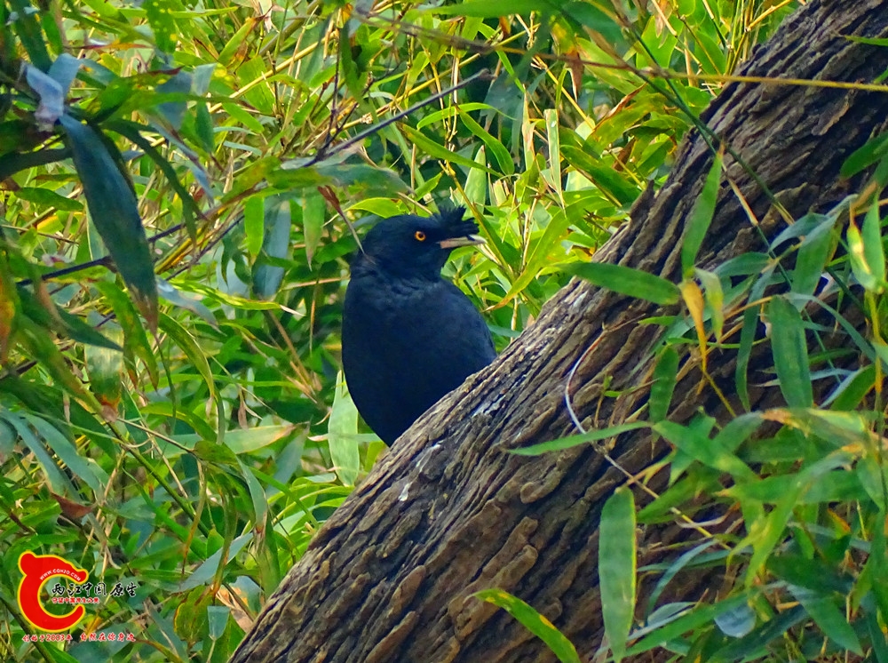 DSC01134.JPG