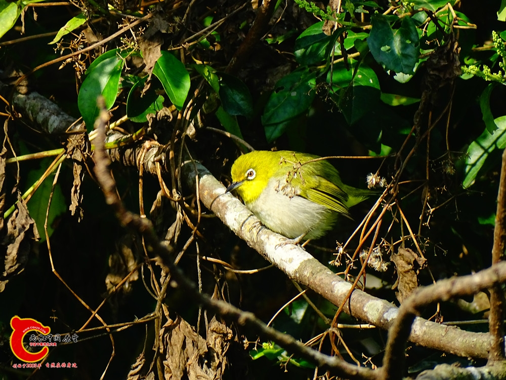 DSC01169.JPG