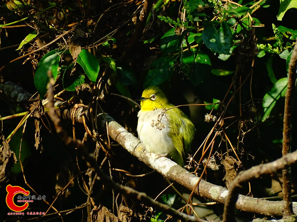 DSC01176.JPG