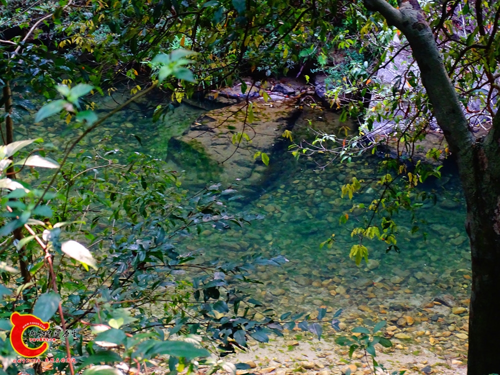 DSC01230.JPG