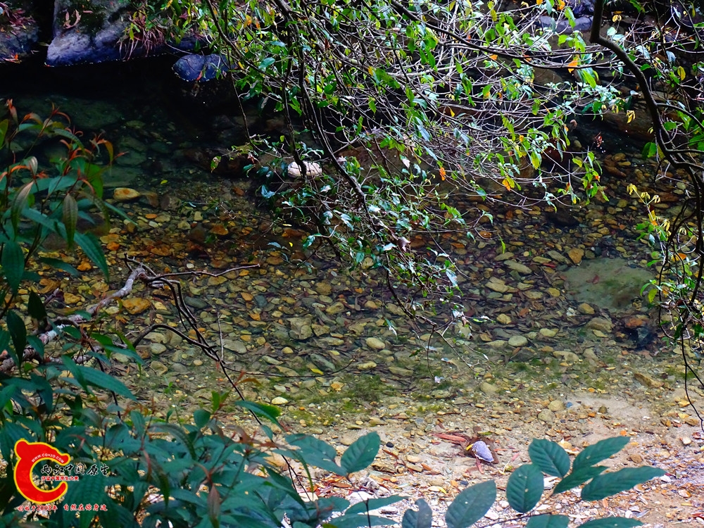 DSC01231.JPG