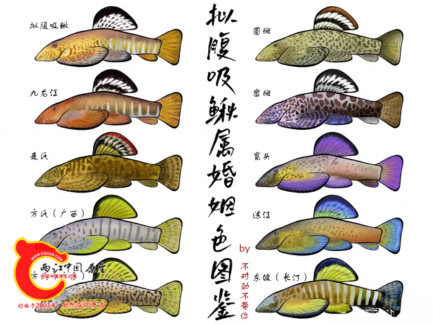 微信图片_20240429100026_result.png
