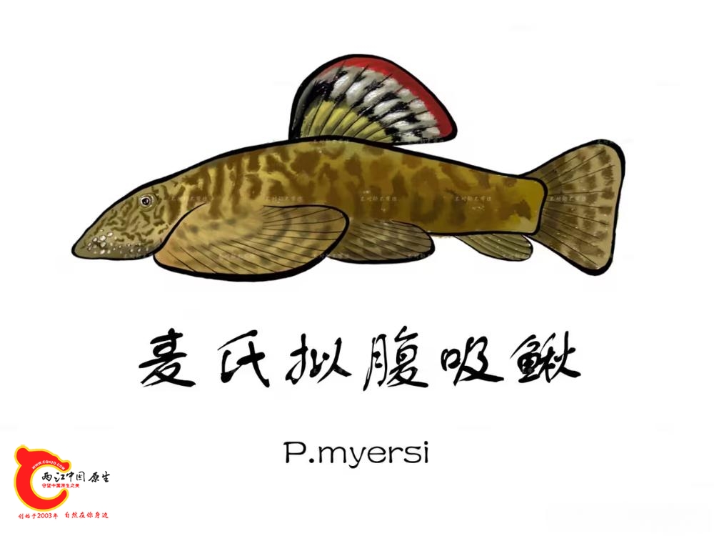 98dd3700-c2a0-4d60-ab8a-4ba1e0863717.jpg