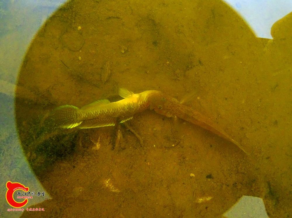 DSC01394.JPG