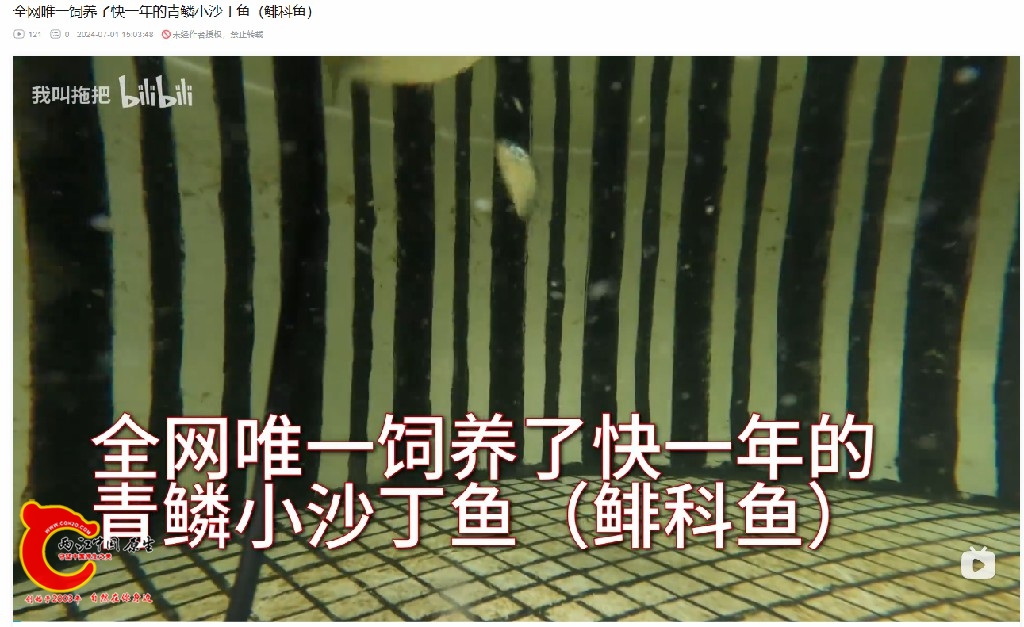 QQ截图20240701201236.jpg