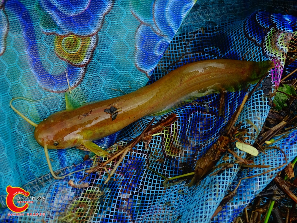DSC01365.JPG