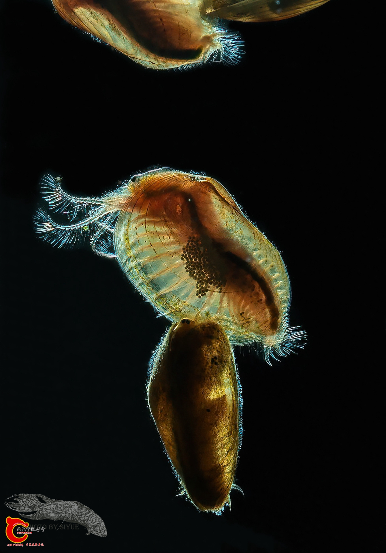 DSC03281a_副本.jpg