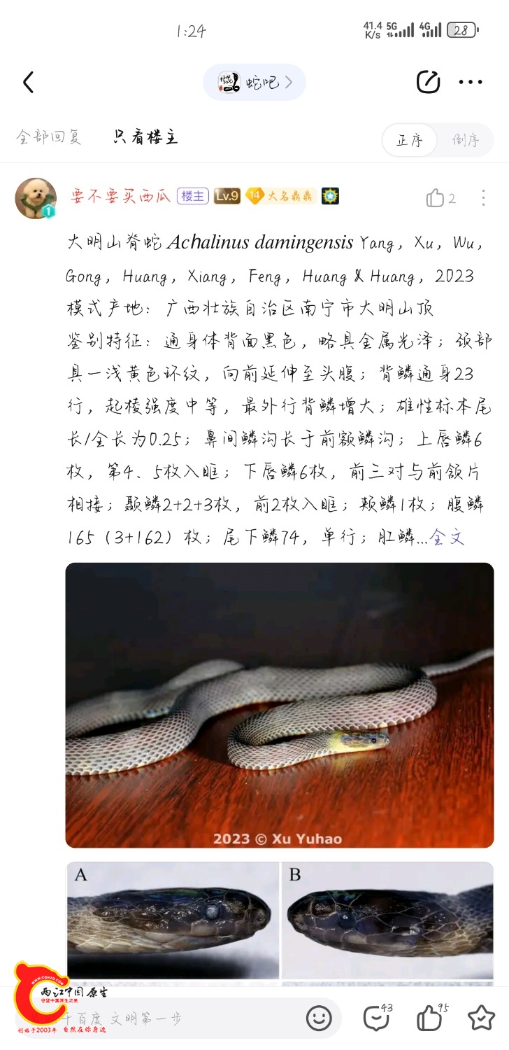 Screenshot_20240803_132411_com.baidu.tieba.jpg