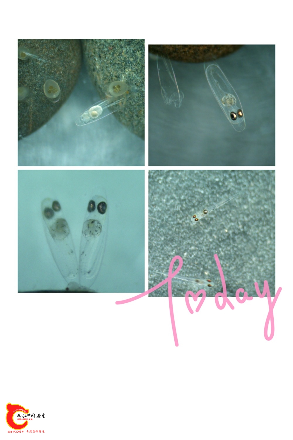 pt2019_09_21_19_22_36.jpg