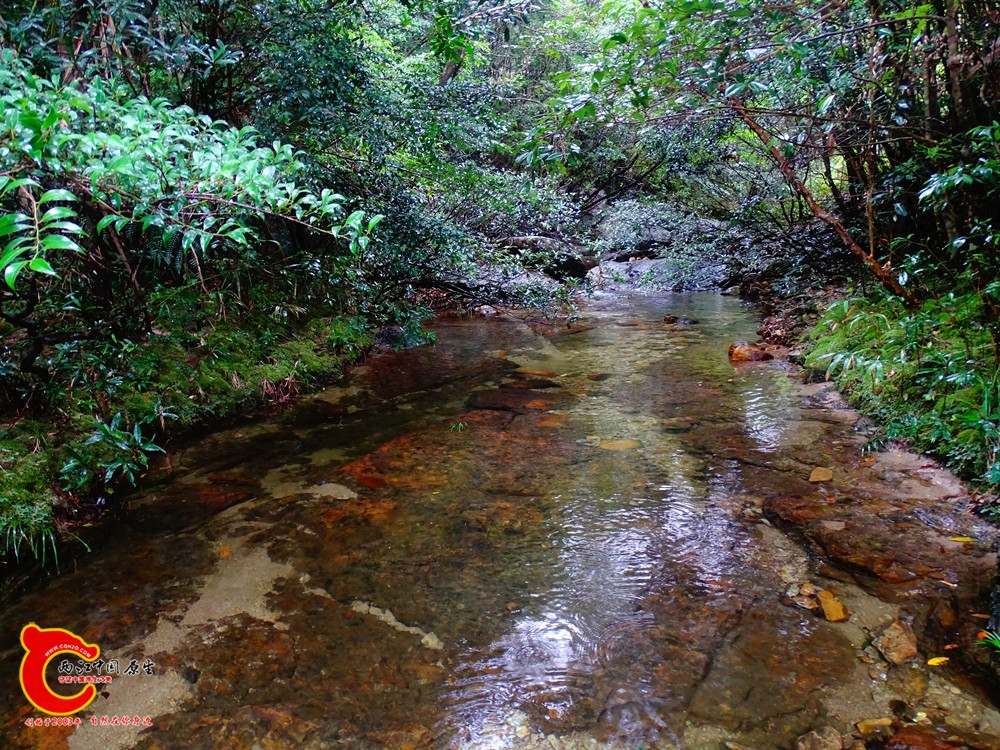 DSC01410.JPG