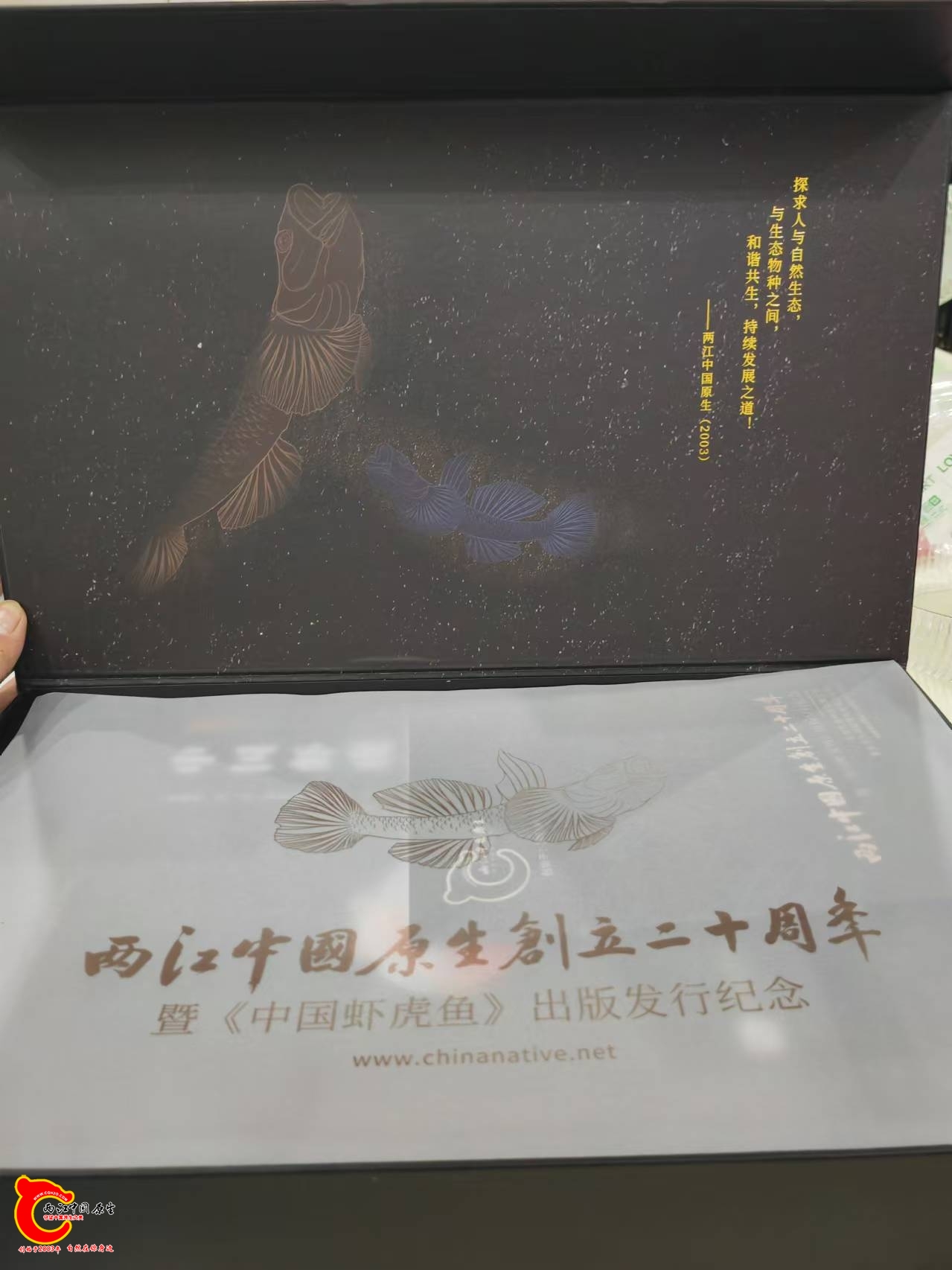 wechat_upload1728814254670b9cae8cf6e