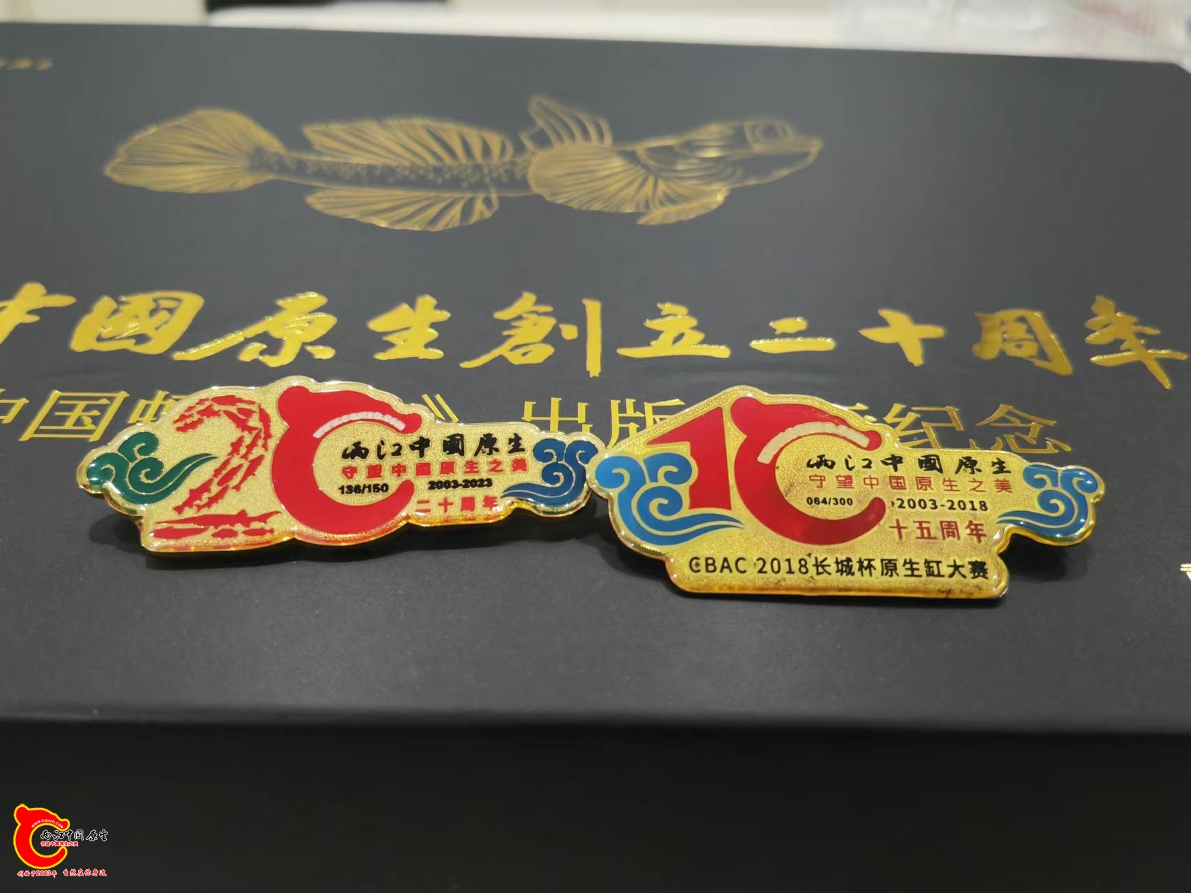 wechat_upload1728814256670b9cb0855ee