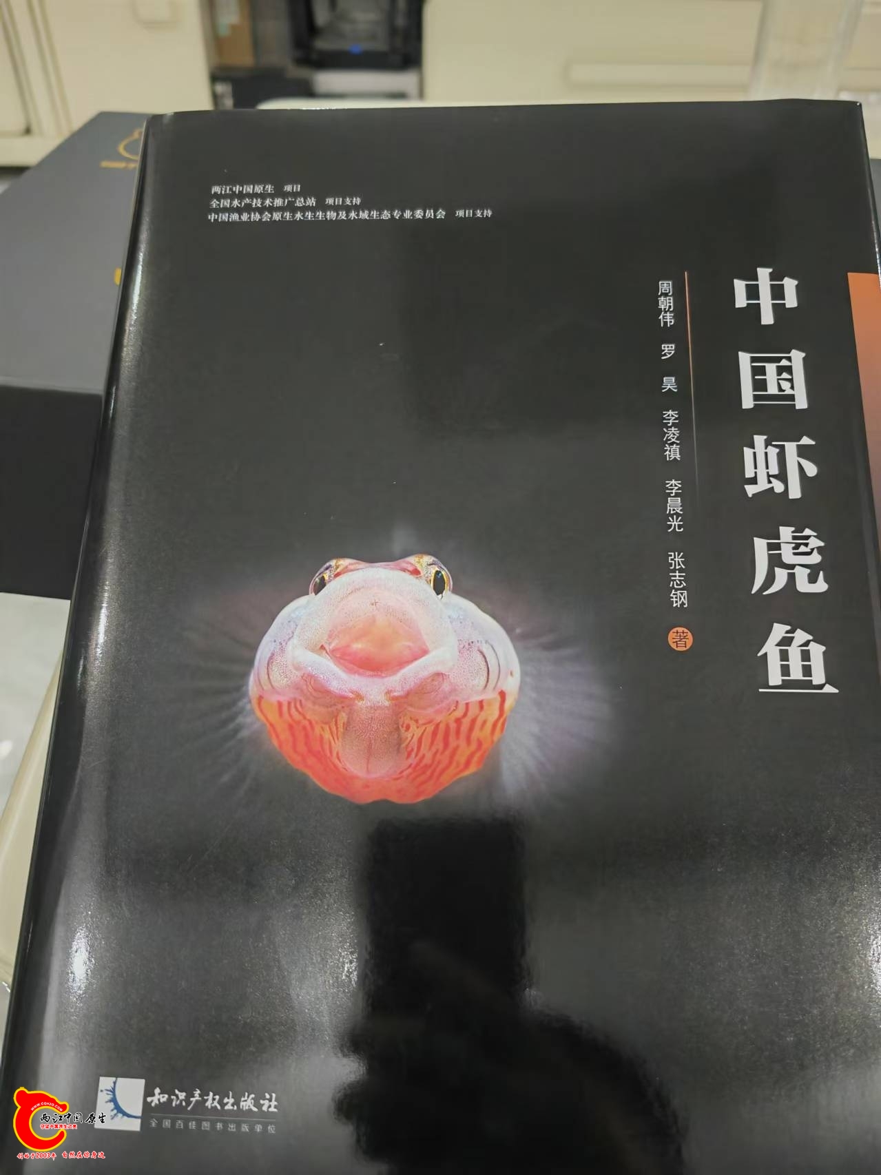 wechat_upload1728814257670b9cb103d57