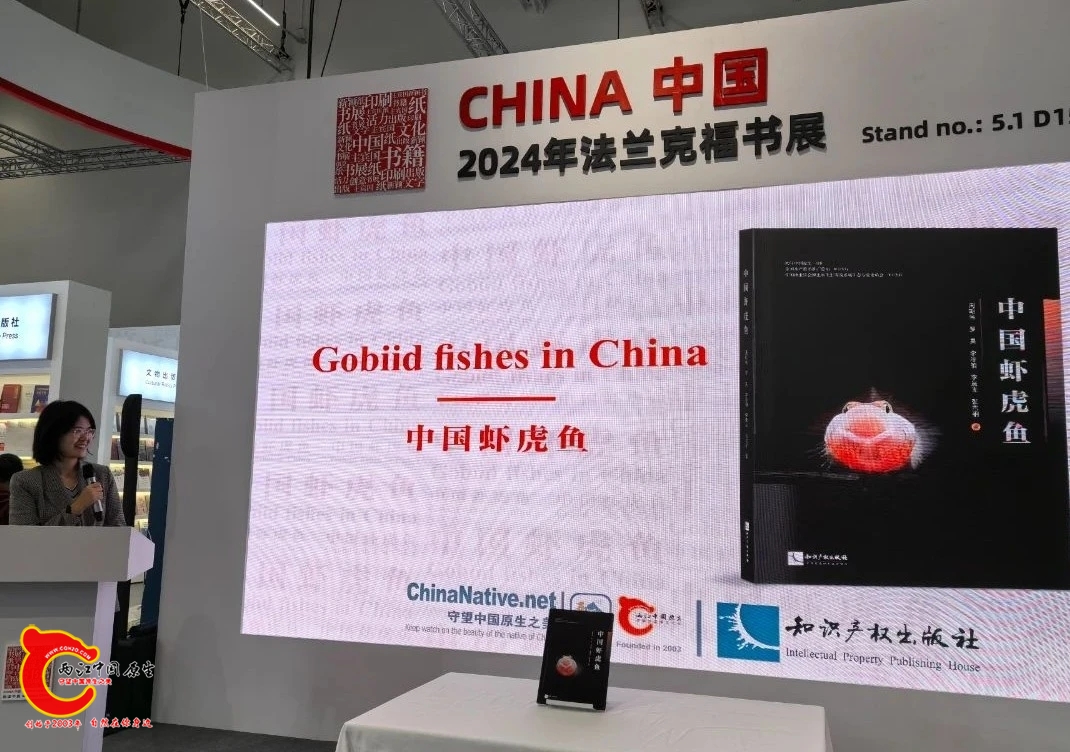 wechat_upload1729098172670ff1bca53cc