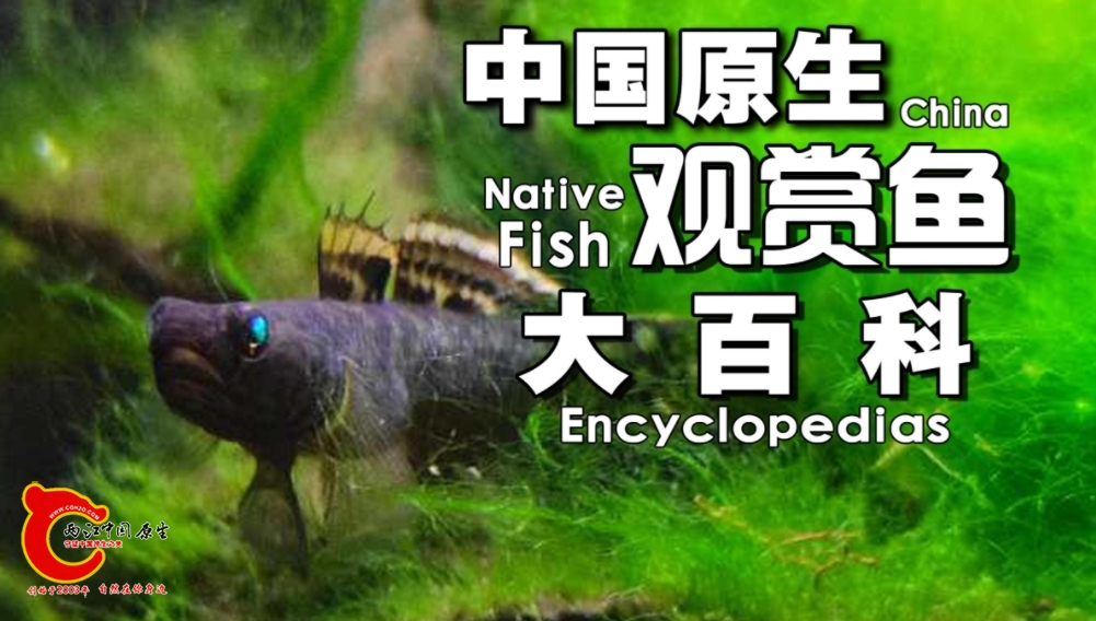 微信截图_20241031101056.jpg