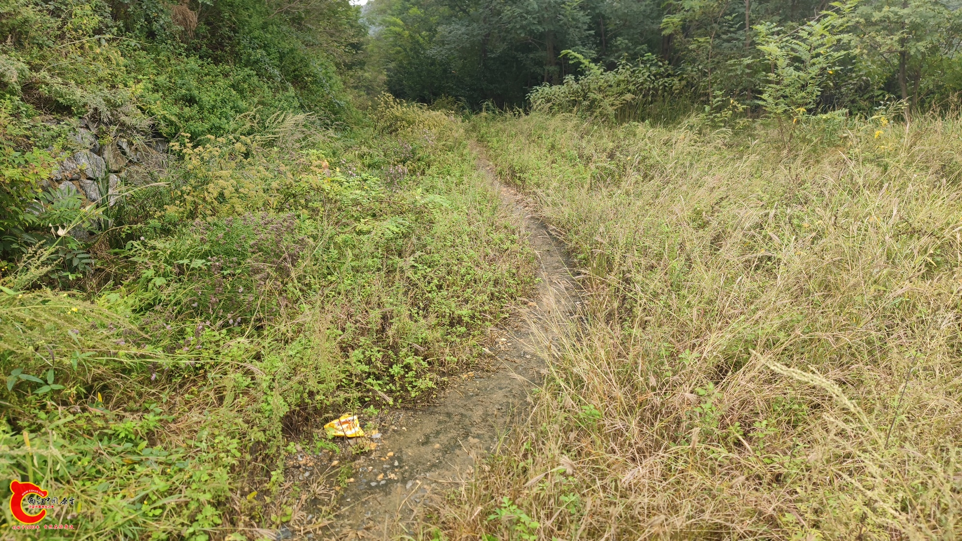 IMG_20251004_101352 - 副本.jpg