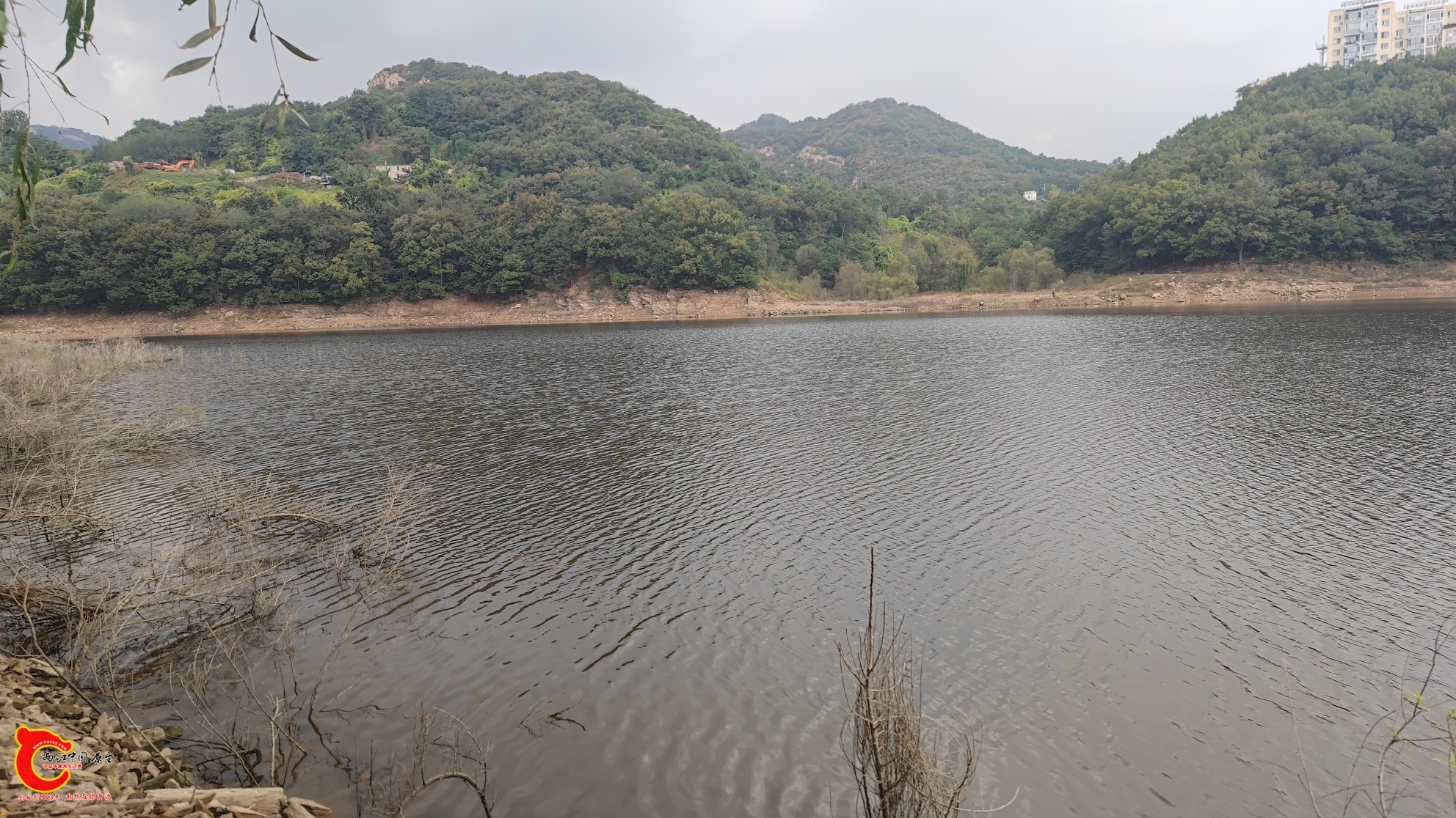 IMG_20251004_110746 - 副本.jpg